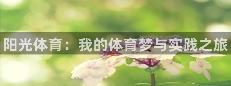 杏悦：阳光体育：我的体育梦与实践之旅