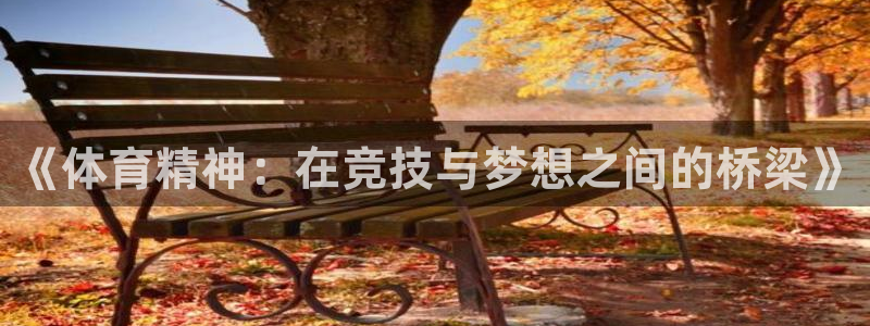 杏悦3代理：《体育精神：在竞技与梦想之间的桥梁》