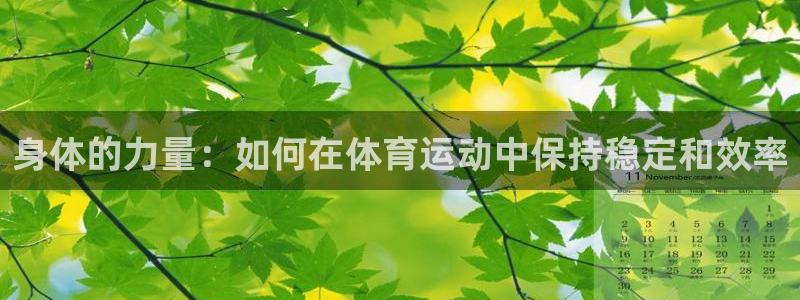 杏悦体育平台总代理：身体的力量：如何在体育运动中保持稳定和效率