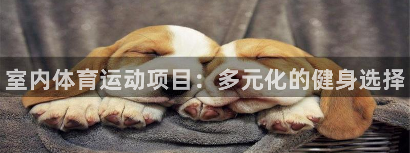 杏悦4平台注册：室内体育运动项目：多元化的健身选择