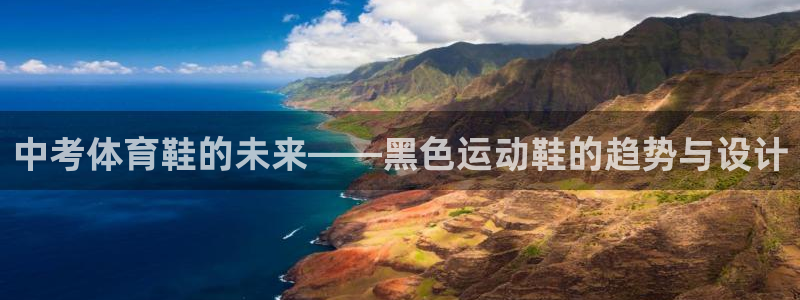 杏悦体育合法嘛：中考体育鞋的未来——黑色运动鞋的趋势与设计
