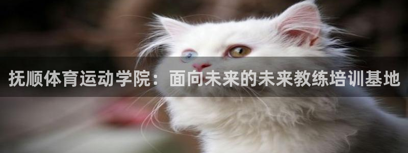 杏悦4平台：抚顺体育运动学院：面向未来的未来教练培训基地