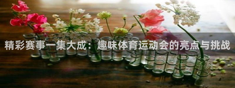 杏悦招商：精彩赛事一集大成：趣味体育运动会的亮点与挑战