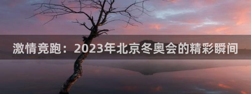杏悦体育1招商：激情竞跑：2023年北京冬奥会的精彩瞬间