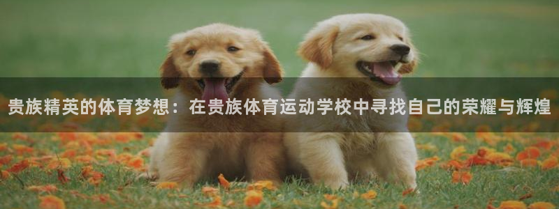 杏悦凯捷开号链接：贵族精英的体育梦想：在贵族体育运动学校中寻找自己的荣耀与辉煌