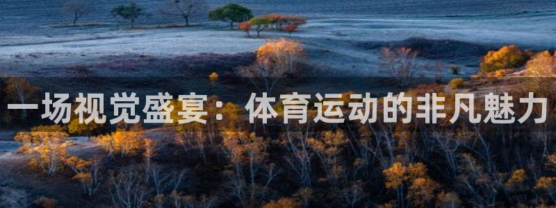 杏悦体育平台总代理：一场视觉盛宴：体育运动的非凡魅力