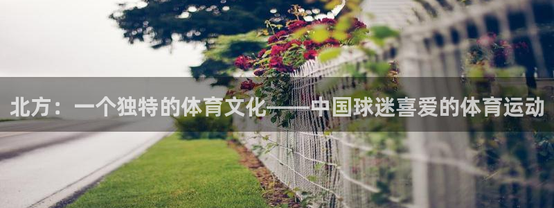 杏悦代理注册官网入口：北方：一个独特的体育文化——中国球迷喜爱的体育运动