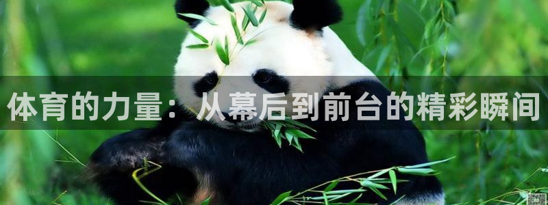 杏悦2登录地址：体育的力量：从幕后到前台的精彩瞬间