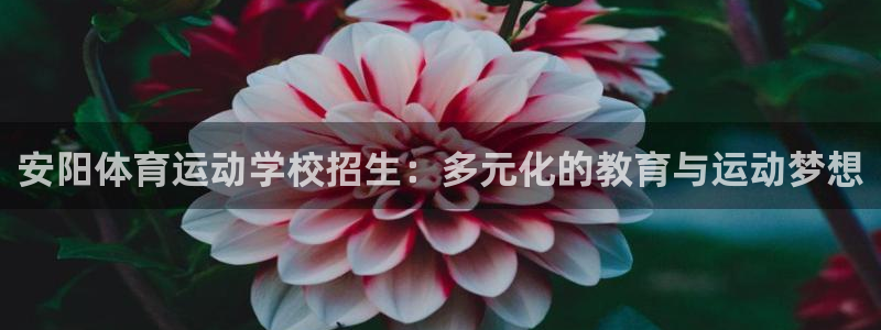 杏悦2登录地址：安阳体育运动学校招生：多元化的教育与运动梦想