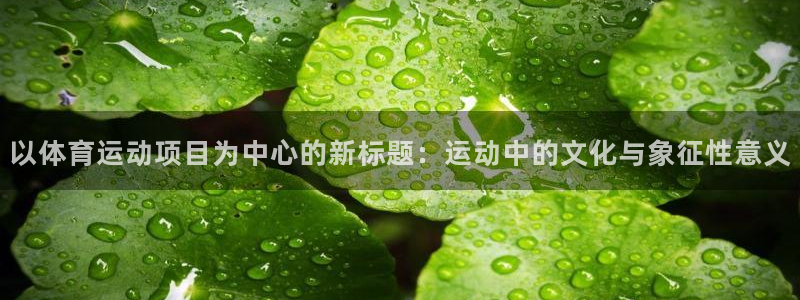 杏悦5：以体育运动项目为中心的新标题：运动中的文化与象征性意义