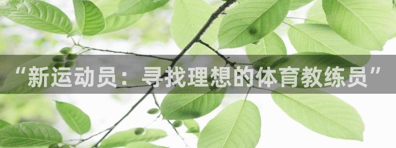 杏悦3登陆：“新运动员：寻找理想的体育教练员”