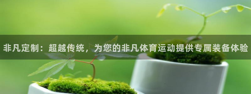 杏悦5注册：非凡定制：超越传统，为您的非凡体育运动提供专属装备体验