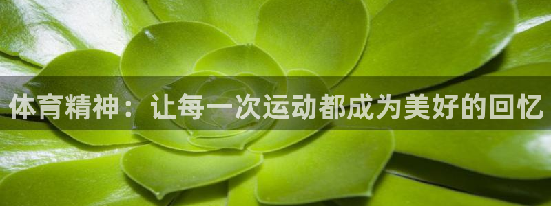 杏悦2登录入口：体育精神：让每一次运动都成为美好的回忆