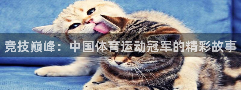 杏悦主管：竞技巅峰：中国体育运动冠军的精彩故事