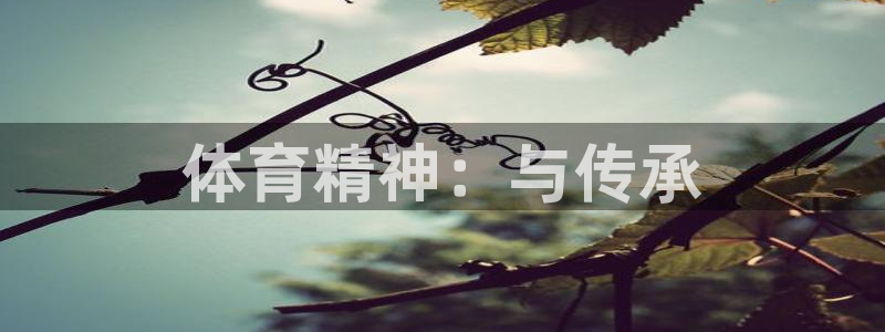 杏悦体育2：体育精神：与传承