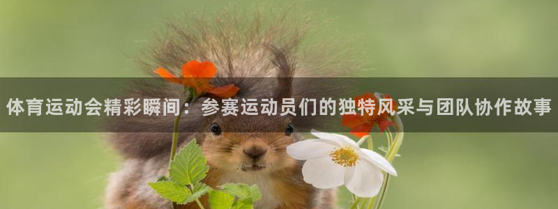 杏悦3平台注册：体育运动会精彩瞬间：参赛运动员们的独特风采与团队协作故事