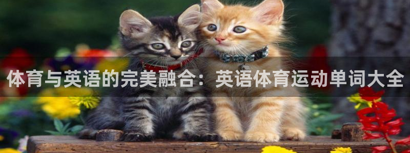 杏悦体育凯捷平台主管：体育与英语的完美融合：英语体育运动单词大全