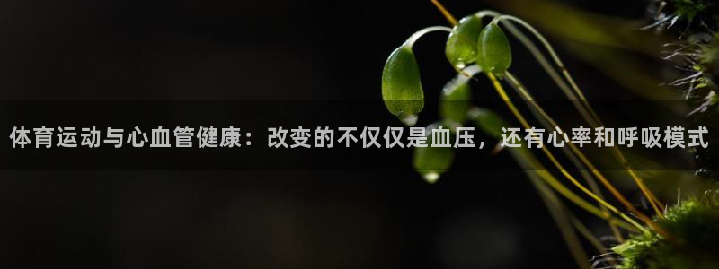 杏悦包怎么样：体育运动与心血管健康：改变的不仅仅是血压，还有心率和呼吸模式