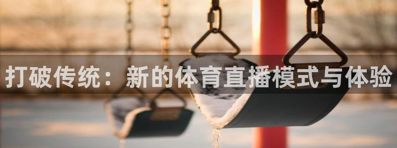杏悦体育代理申请流程：打破传统：新的体育直播模式与体验