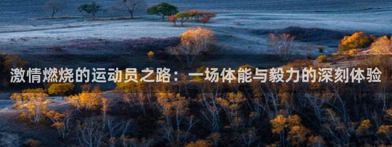 杏悦体育f开号：激情燃烧的运动员之路：一场体能与毅力的深刻体验