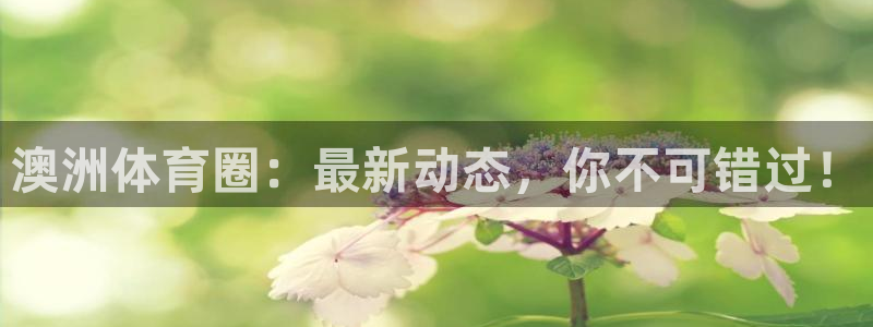 杏悦平台：澳洲体育圈：最新动态，你不可错过！
