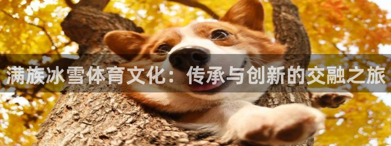 杏悦体育网页版入口：满族冰雪体育文化：传承与创新的交融之旅
