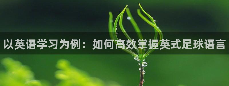 杏悦能源：以英语学习为例：如何高效掌握英式足球语言