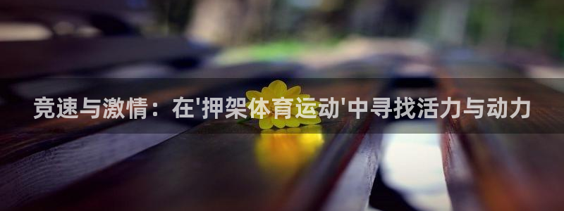 杏悦体育论坛：竞速与激情：在\'押架体育运动\'中寻找活力与动力