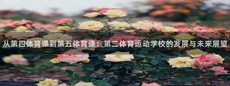 杏悦4开户：从第四体育课到第五体育课：第二体育运动学校的发展与未来展望