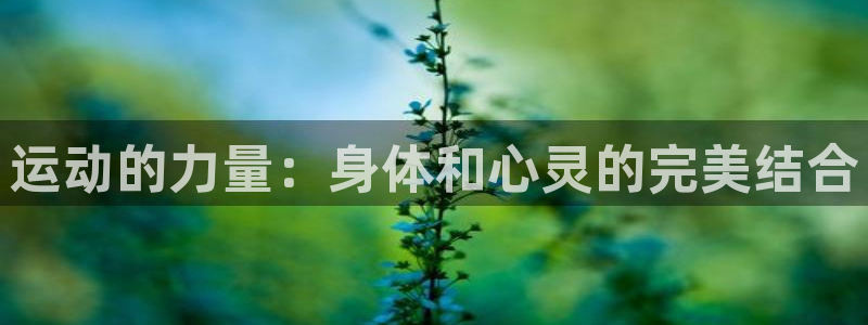 杏悦体育官网：运动的力量：身体和心灵的完美结合