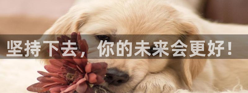 杏悦娱乐登录注册：坚持下去，你的未来会更好！